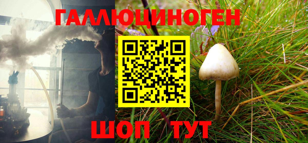 Галлюциногенные грибы GOLDEN TEACHER  Вход с VPN  Мурманск 